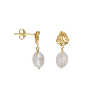 Mini Oyster Stud Pearl Earring E2424 Gold Plated