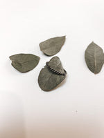 Afbeelding in Gallery-weergave laden, Thing Ring Rope YVKE_20709 Zilver