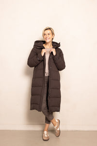 ZHIsi Max New ZJ161 Brown
