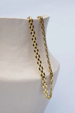 Afbeelding in Gallery-weergave laden, Iconic Chain Necklace WTNKmercury
