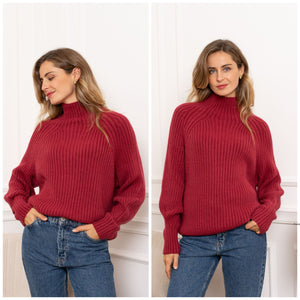 Turtleneck Sweater 234