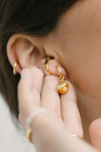 Clam Shell Earring WTHP083YBGP0.5MC Gold Plated