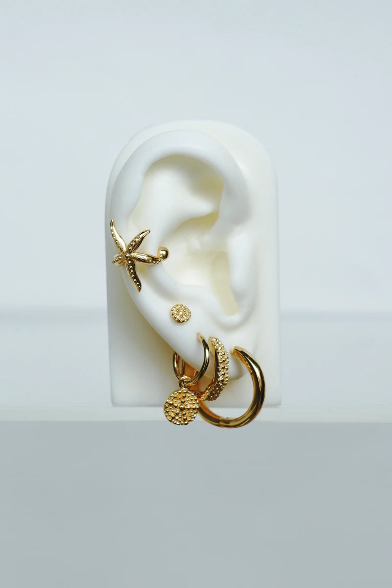 Starfish Pattern Coin Earring WTHP098YBGP0.5MC