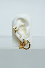 Afbeelding in Gallery-weergave laden, Starfish Pattern Coin Earring WTHP098YBGP0.5MC
