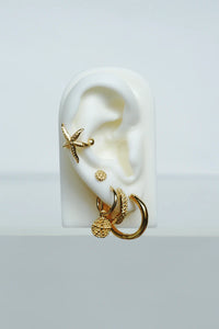 Starfish Pattern Coin Earring WTHP098YBGP0.5MC