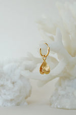 Afbeelding in Gallery-weergave laden, Clam Shell Earring WTHP083YBGP0.5MC Gold Plated
